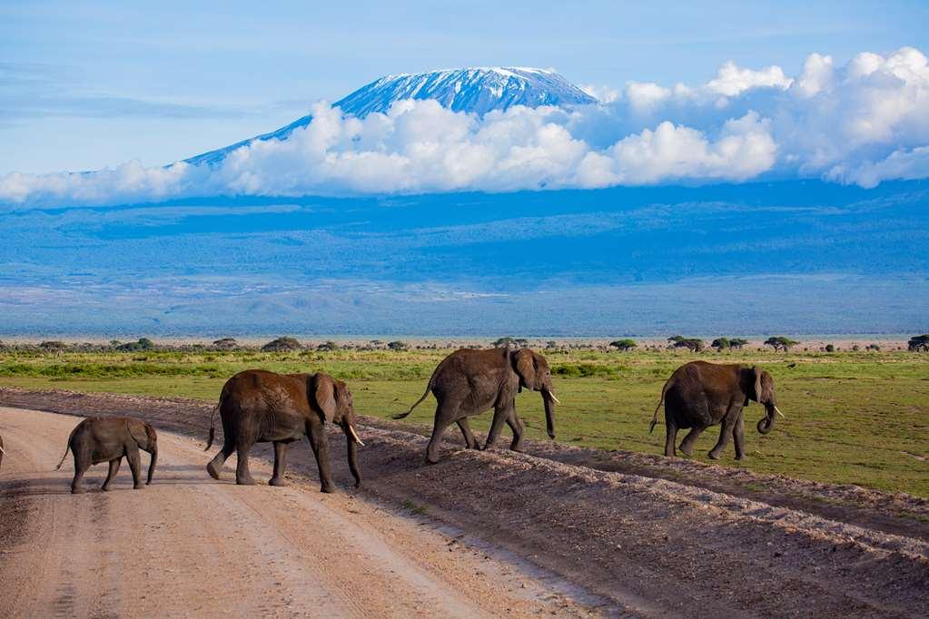 Amboseli Serena Safari Lodge Einrichtungen foto