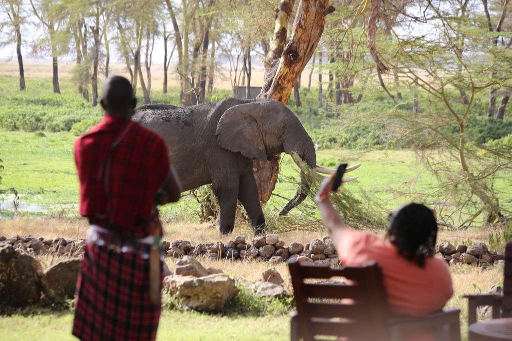 Amboseli Serena Safari Lodge Einrichtungen foto